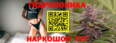 ПСИЛОЦИБИНОВЫЕ ГРИБЫ Будённовск