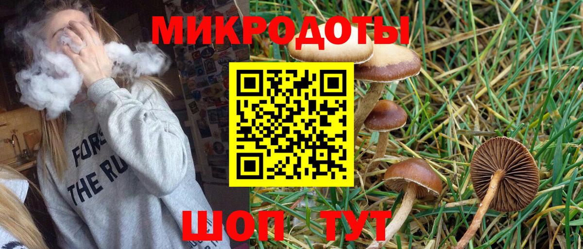 Галлюциногенные грибы GOLDEN TEACHER  Галлюциногенные грибы GOLDEN TEACHER  Вход с VPN  цены наркотик  Янаул 